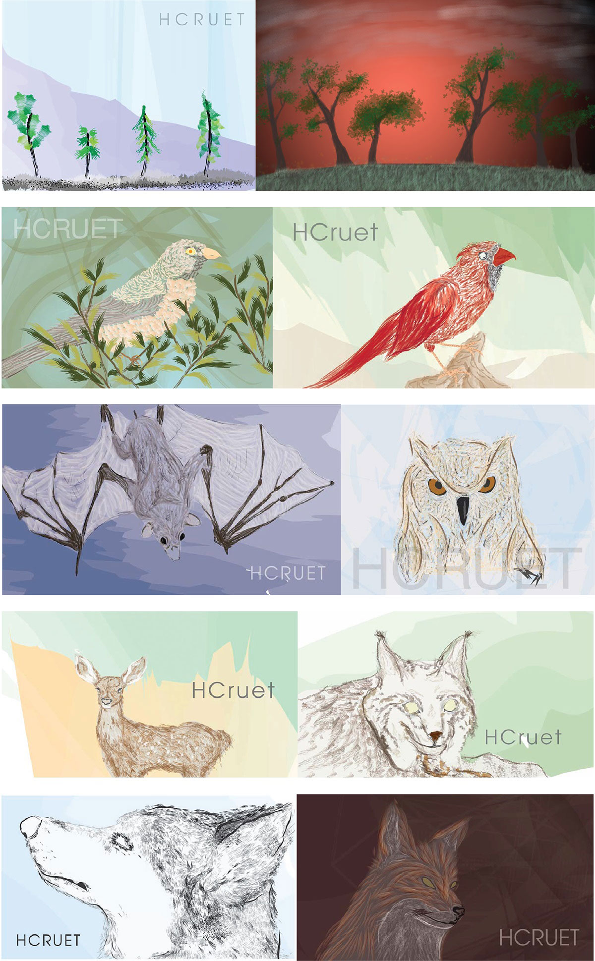 Hector Cruet Nature & Animals Digital Art